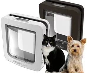 Chcete se zbavit psích loužiček v domácnosti? Nainstalujte si na dveře speciální dvířka